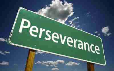 The Power Of Passionate Perseverance