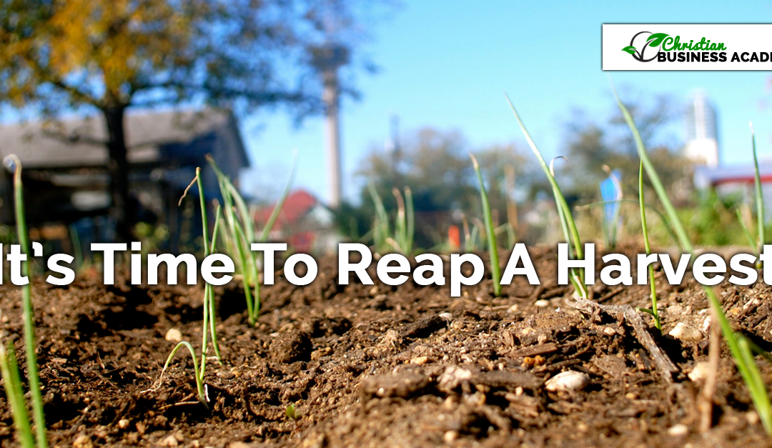 How To Work Less And Reap A Bigger Harvest